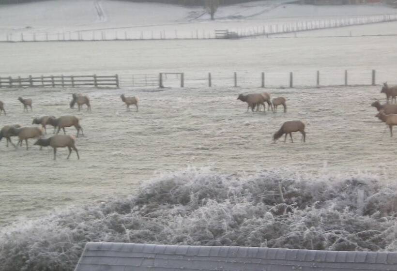 ベッドアンドブレックファースト Miller Tree Inn