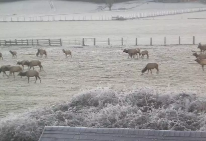 住宿加早餐  Miller Tree Inn