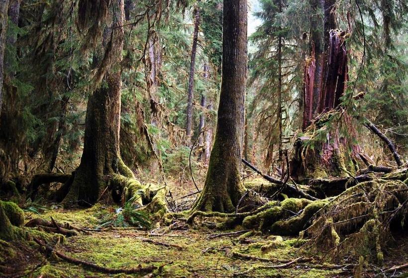 ベッドアンドブレックファースト Miller Tree Inn