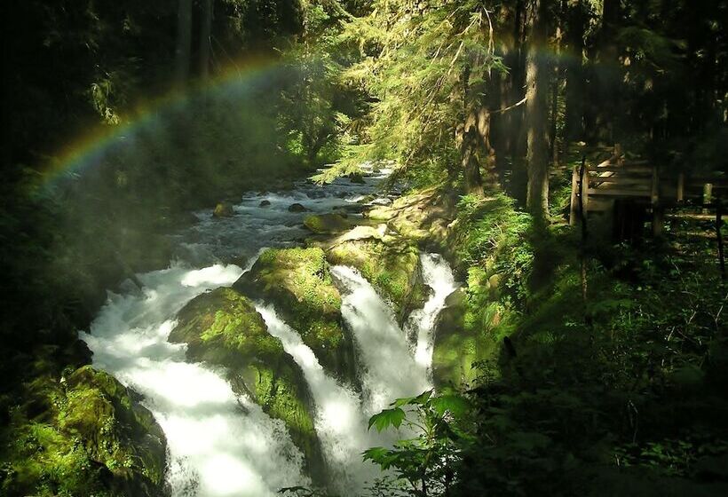 ベッドアンドブレックファースト Miller Tree Inn