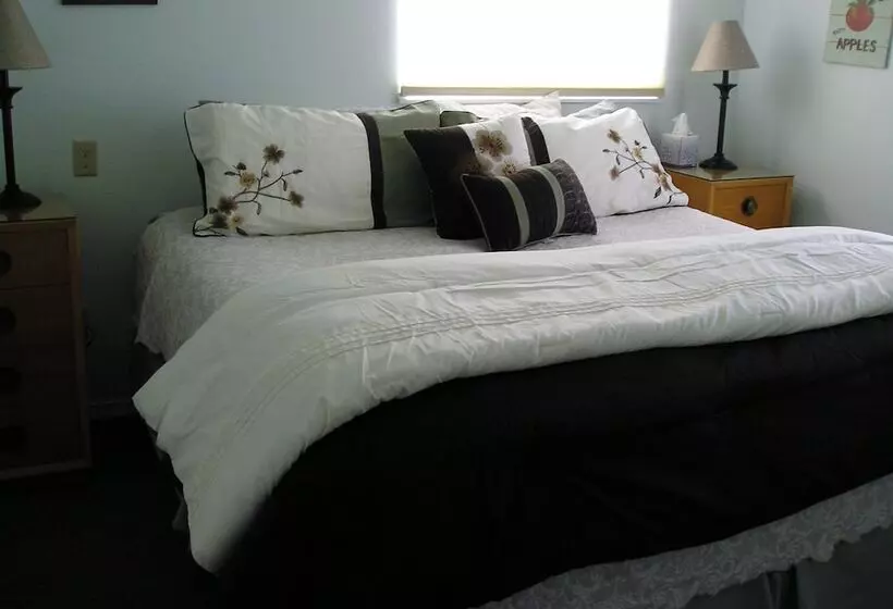 住宿加早餐  Miller Tree Inn