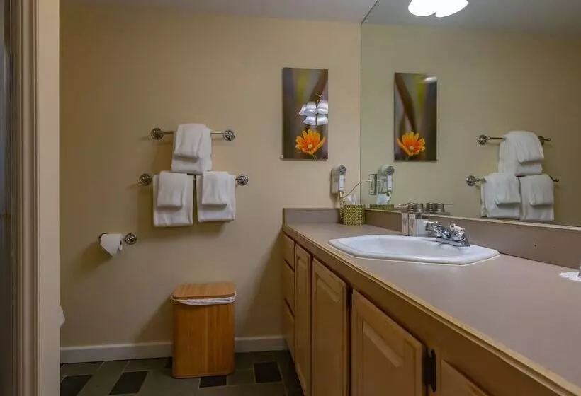 住宿加早餐 Shaker Mill Inn