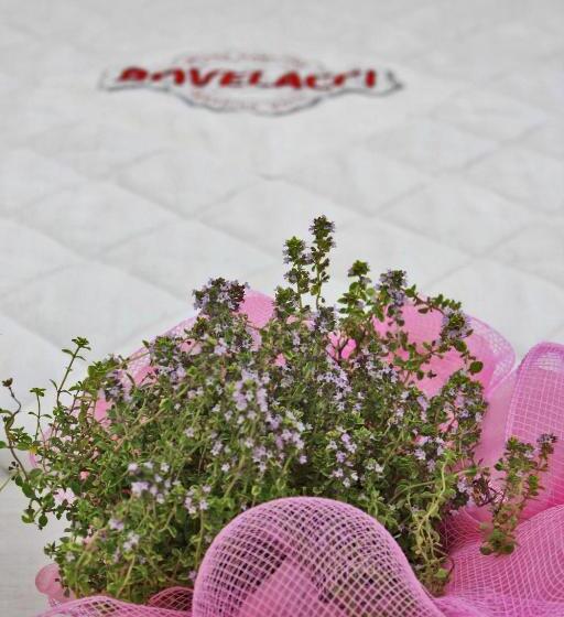 Paradiso Hotel Bovelacci