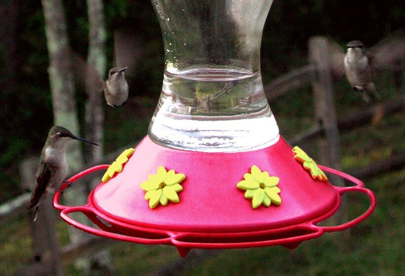 Garden Inn Bed & Breakfast At Bee Rock