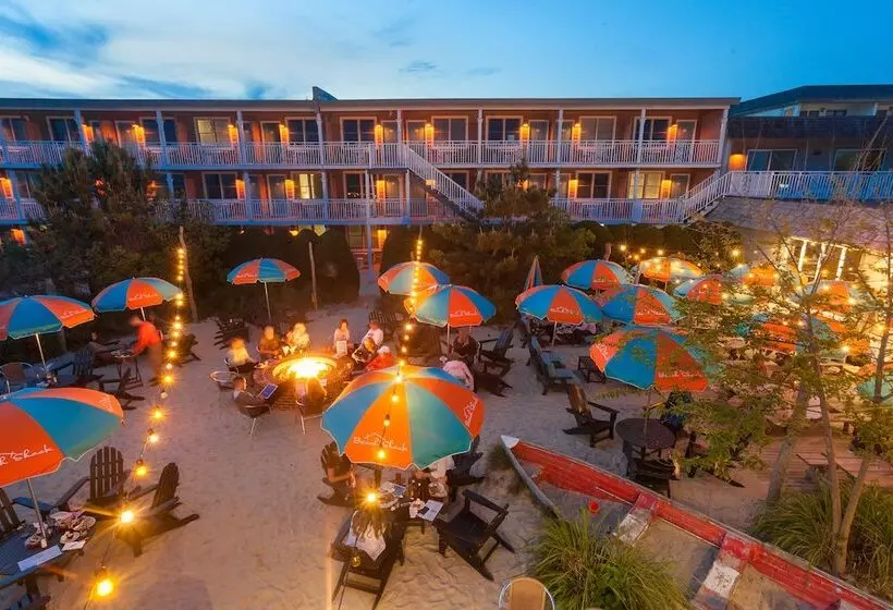 فندق Beach Shack