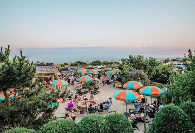 فندق Beach Shack