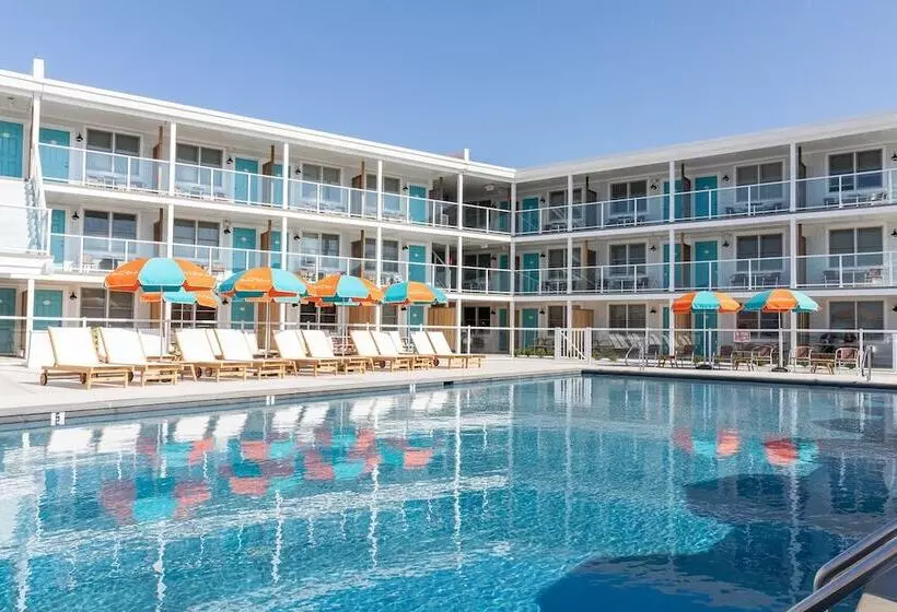 فندق Beach Shack