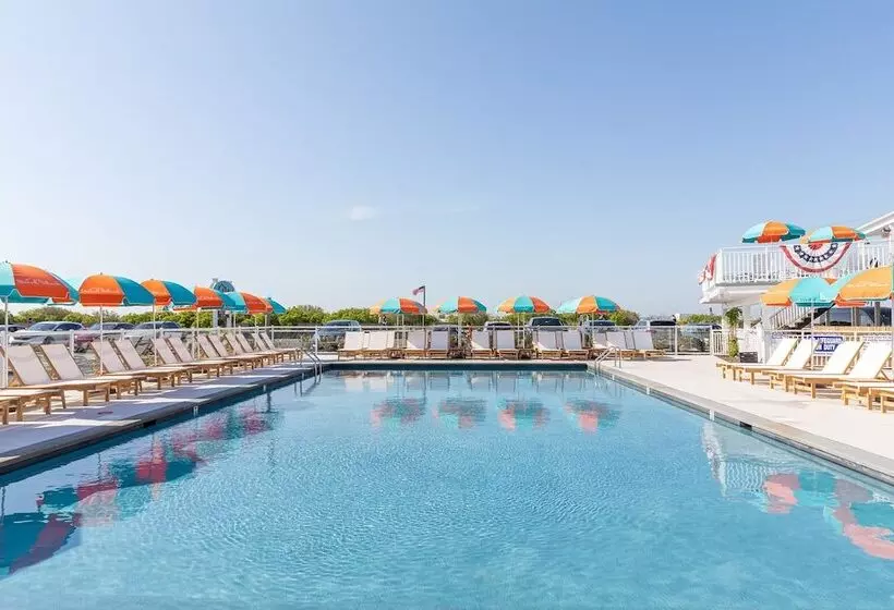 فندق Beach Shack