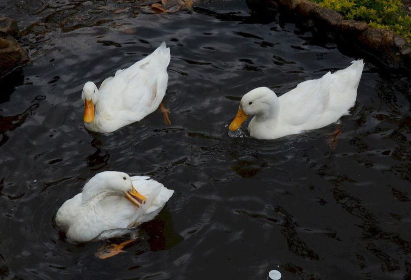 酒店 Treebo Trip Bethel Varkis