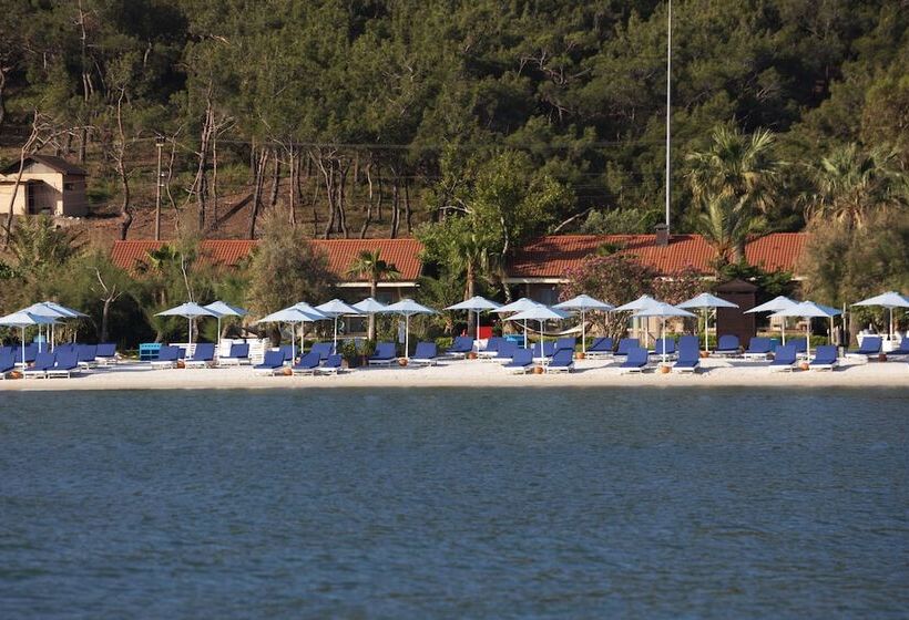 בית מלון כפרי D   Resort Ayvalık