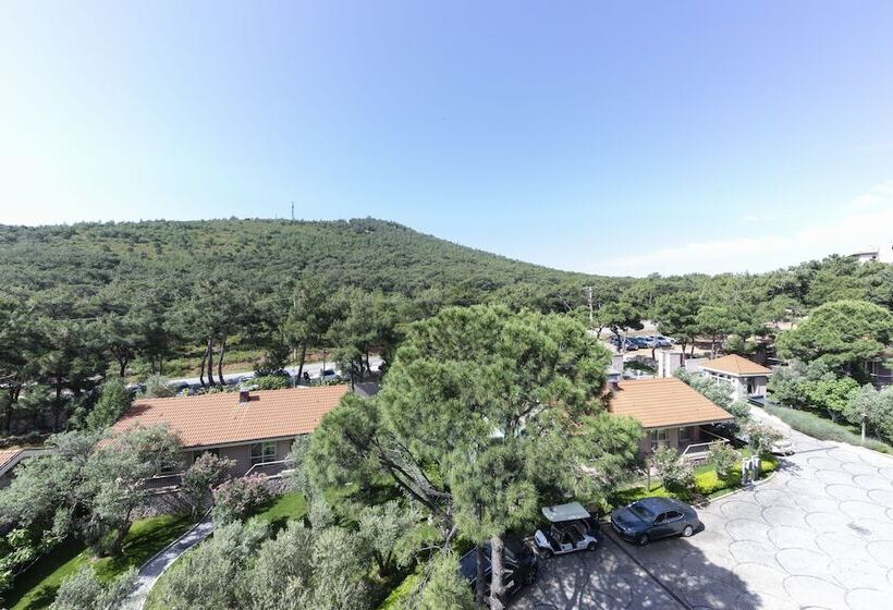 בית מלון כפרי D   Resort Ayvalık