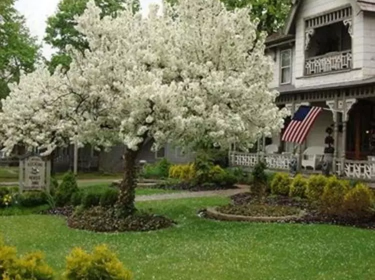 민박 Rocking Horse Inn