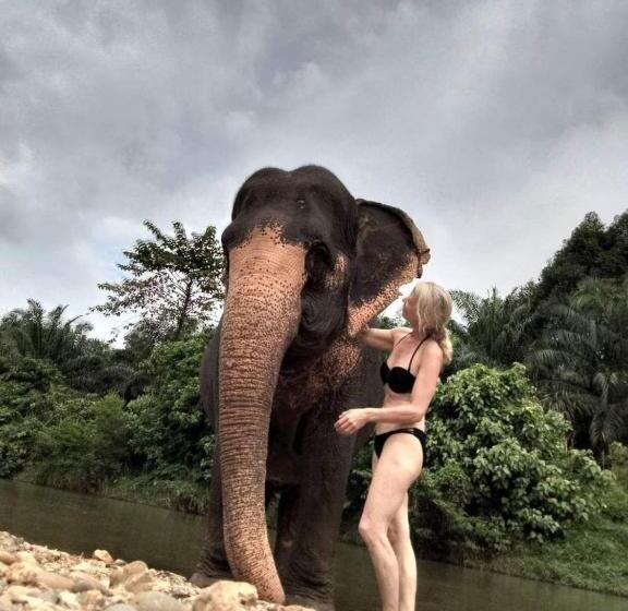 Отель Khao Sok Country Resort