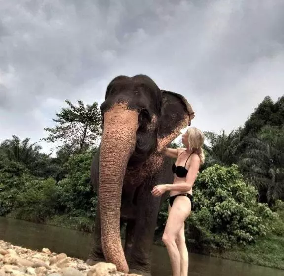 هتل Khao Sok Country Resort