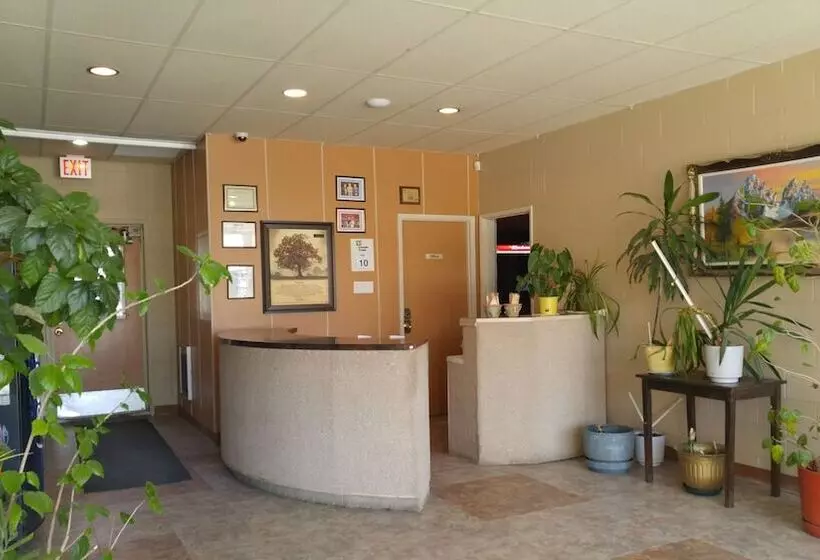 Hotelli Nelson Motor