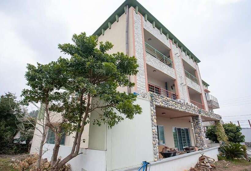 酒店 Seogwipo Neyoung Nayoung Pension