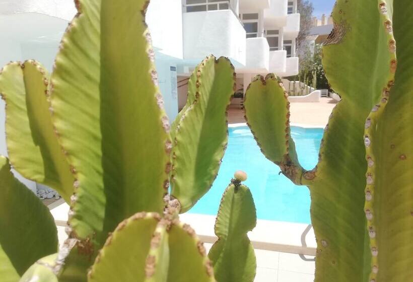 Apartamentos Ibiza