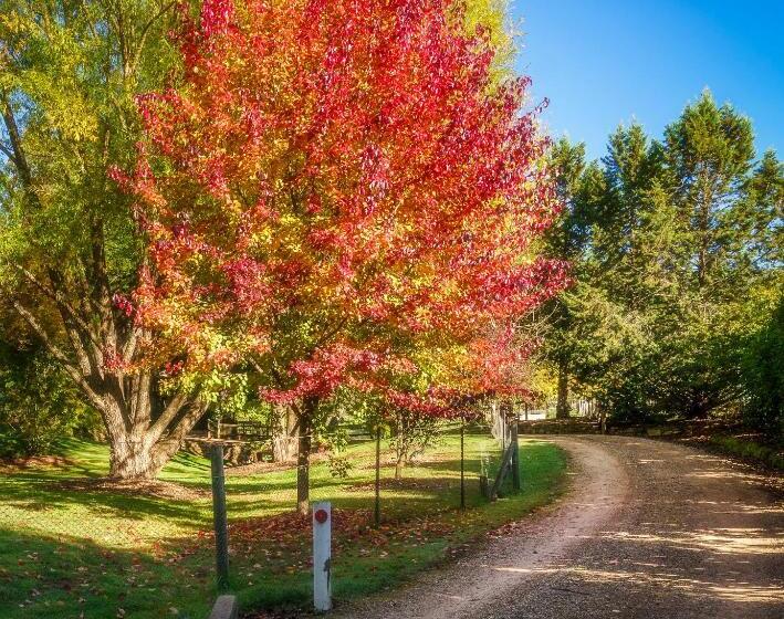 Bright Mystic Valley