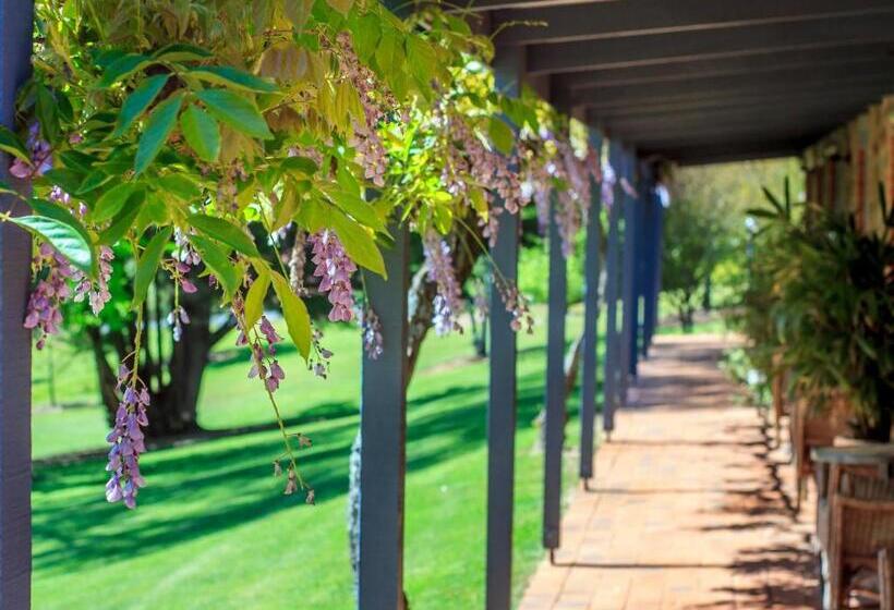 Bright Mystic Valley