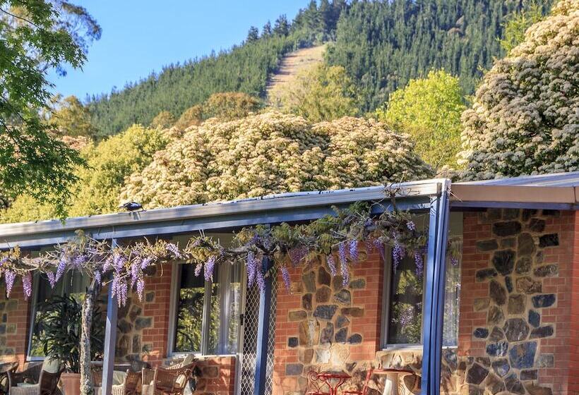 Bright Mystic Valley