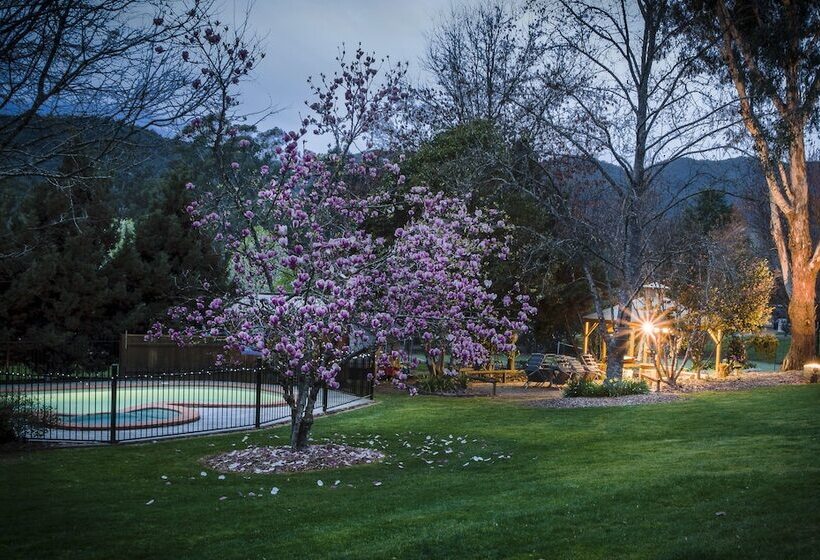 Bright Mystic Valley