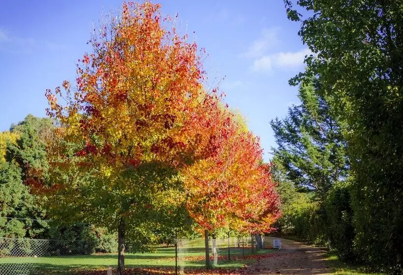 Bright Mystic Valley