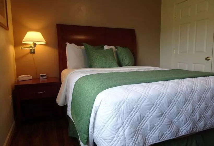 모텔 Affordable Corporate Suites Of Salem