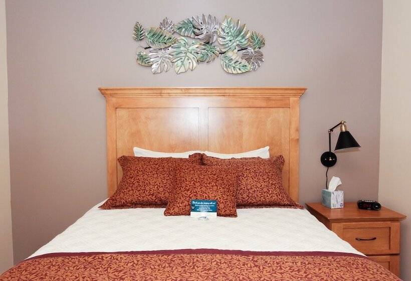 モーテル Affordable Corporate Suites Of Salem