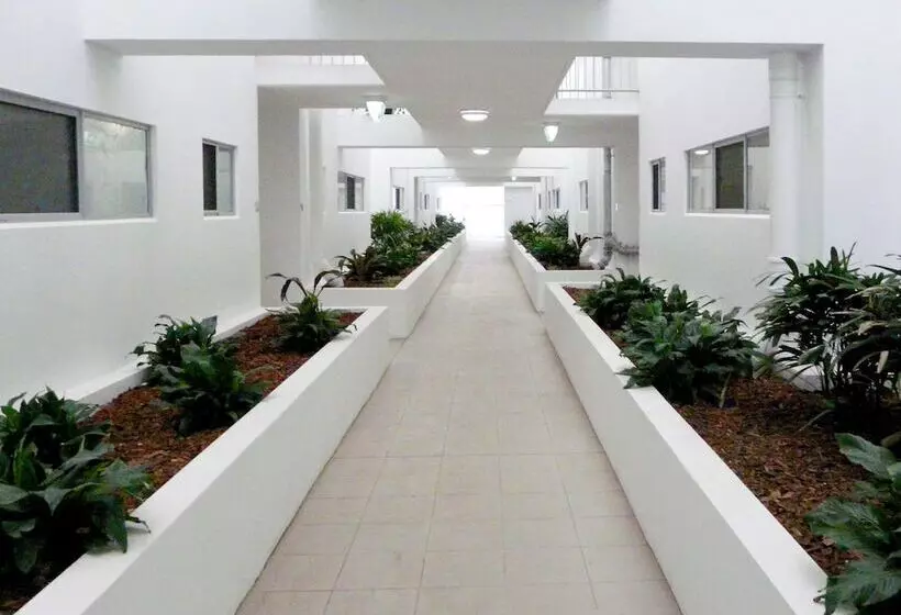 Property Vine Monterey Moranbah