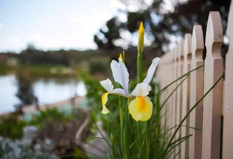 Bed and Breakfast Stonewell Cottages And Vineyards