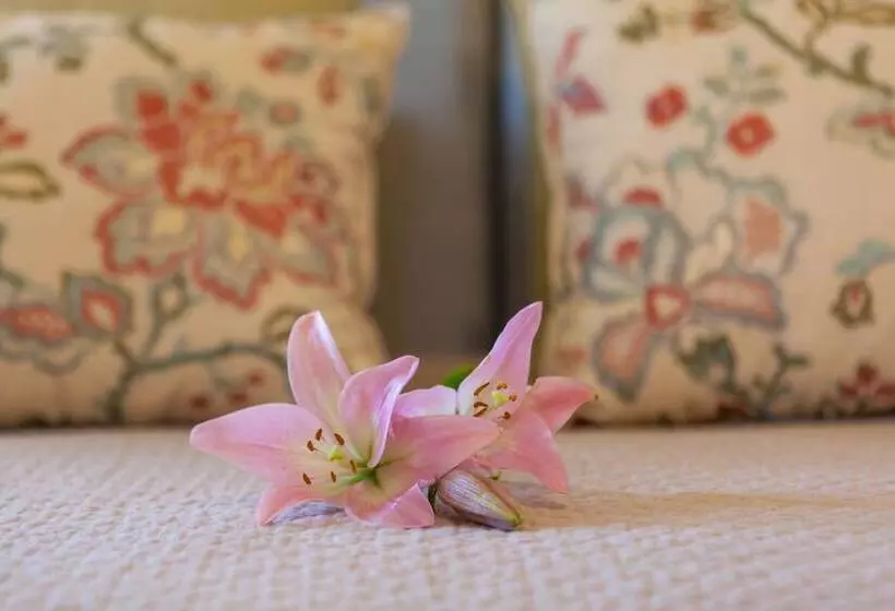 Bed and Breakfast Stonewell Cottages And Vineyards