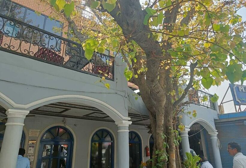 فندق فئة نجمة واحدة Maya Hotel & Restaurant