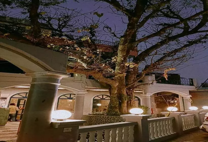 مسافرخانه Maya Hotel & Restaurant