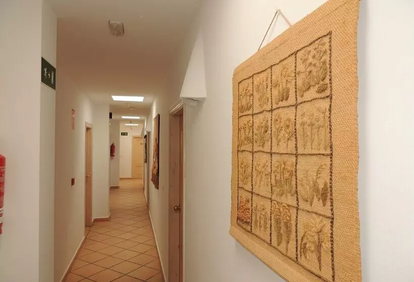 Хостел Virgen Del Mar Holidays