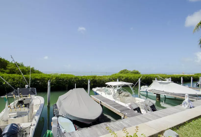 هتل Angler's Reef Resort