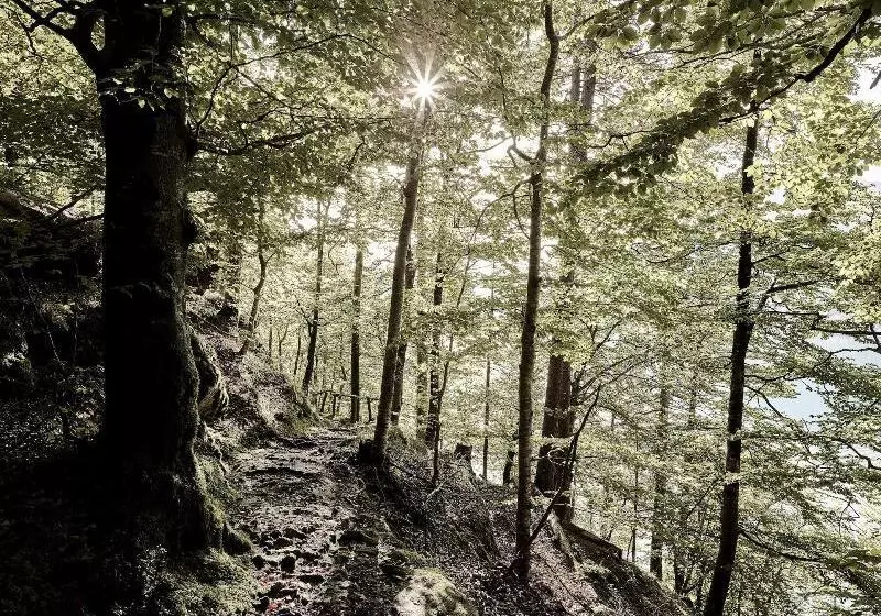 Grandhotel Giessbach