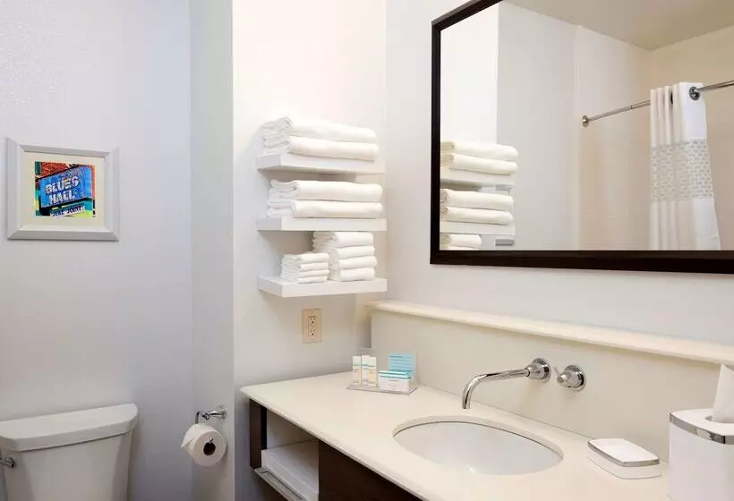 호텔 Hampton Inn Kalamazoo