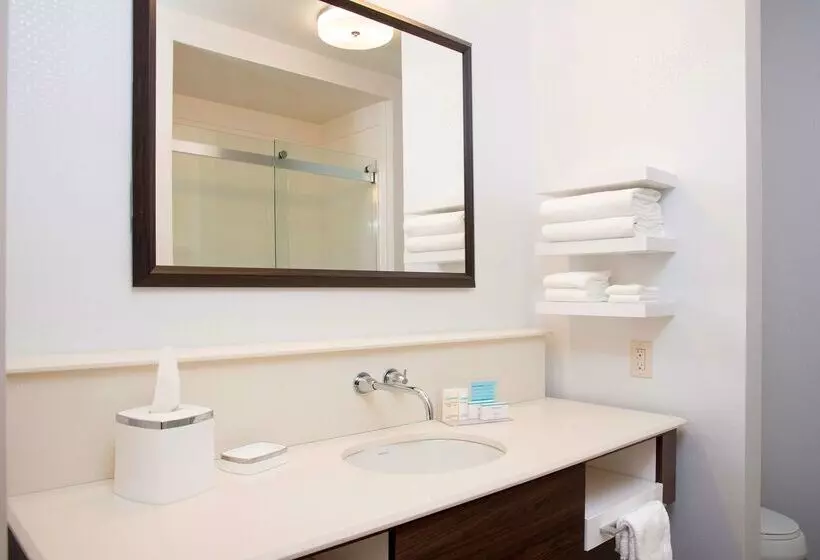 호텔 Hampton Inn Kalamazoo