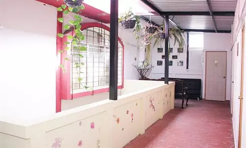 هتل Jardín Del Carmen