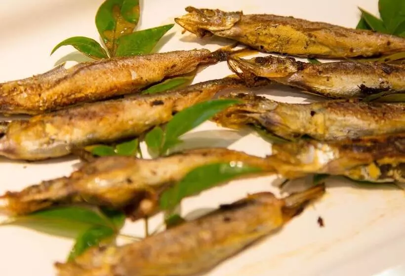 Отель Kyoto Plaza