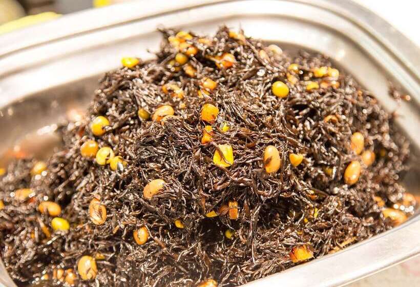 فندق Kyoto Plaza