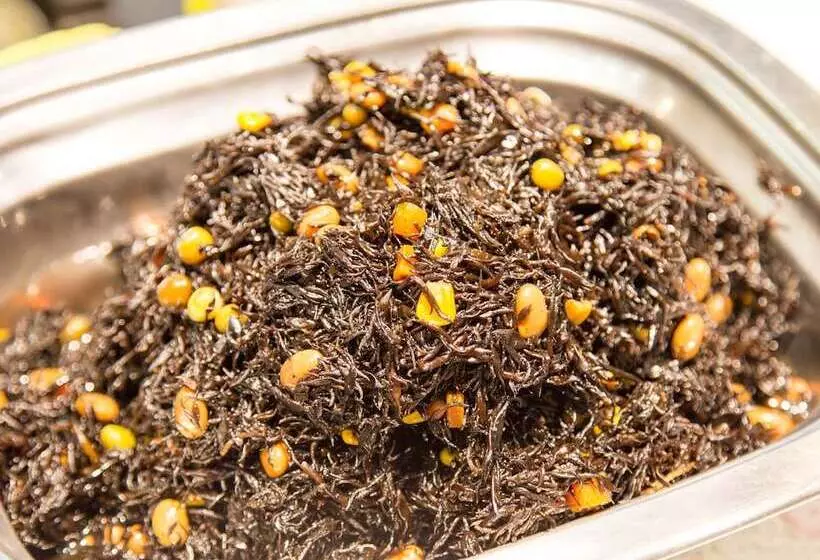 Отель Kyoto Plaza