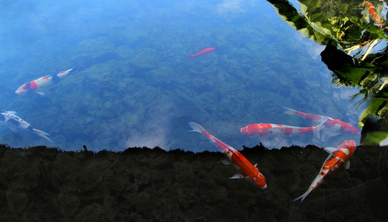 בית מלון כפרי The Kirana Canggu