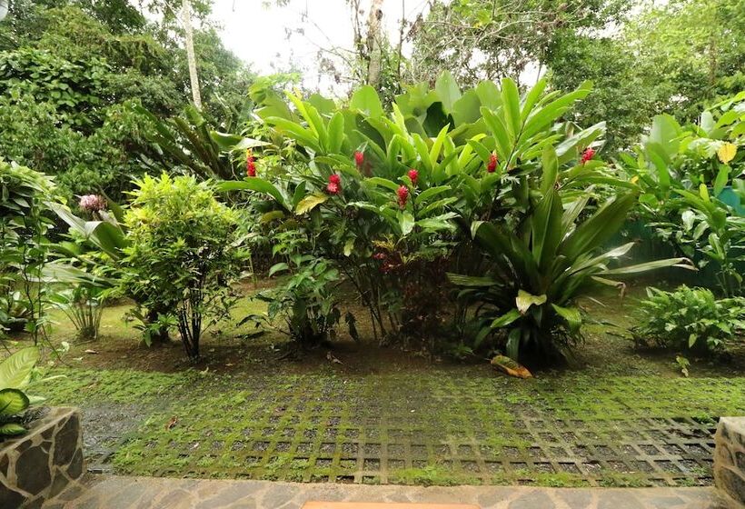 Отель Tirimbina Rainforest Lodge