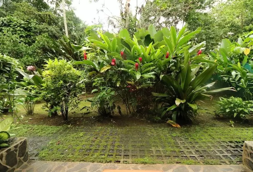 Hotel Tirimbina Rainforest Lodge