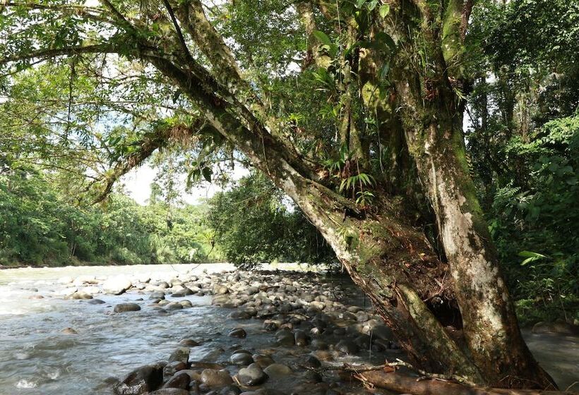 Отель Tirimbina Rainforest Lodge
