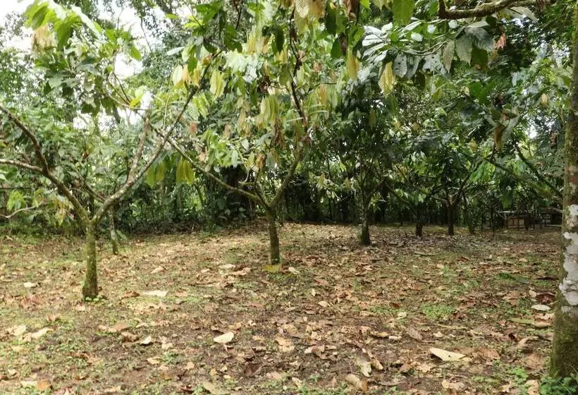 Hotel Tirimbina Rainforest Lodge