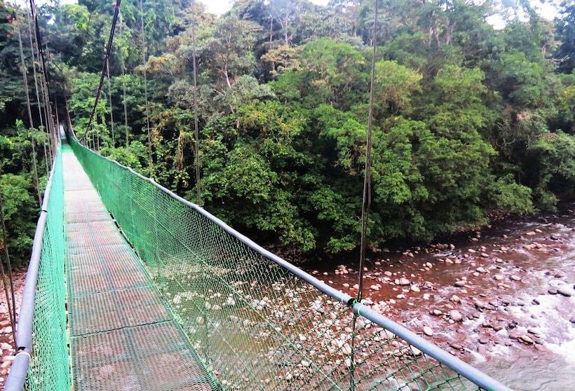 Отель Tirimbina Rainforest Lodge