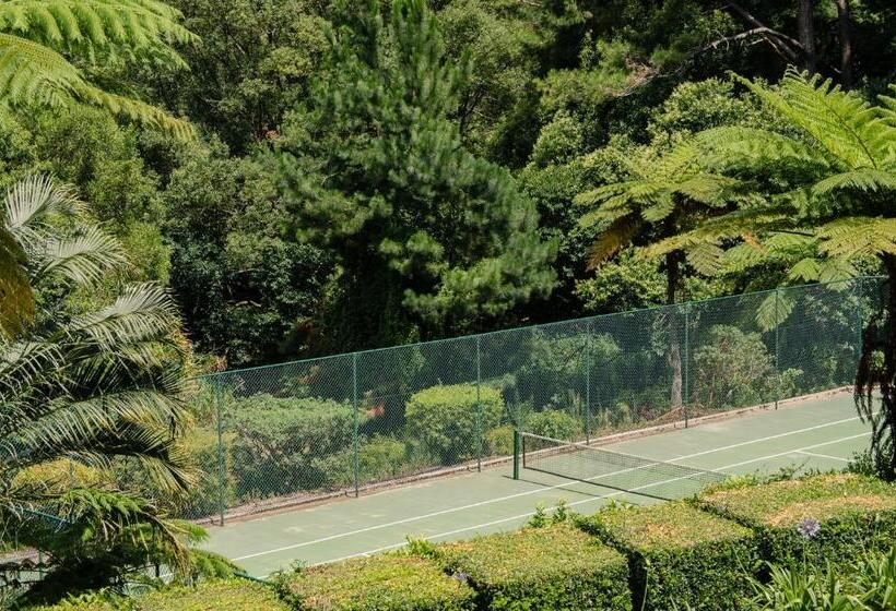 モーテル Montville Mountain Inn