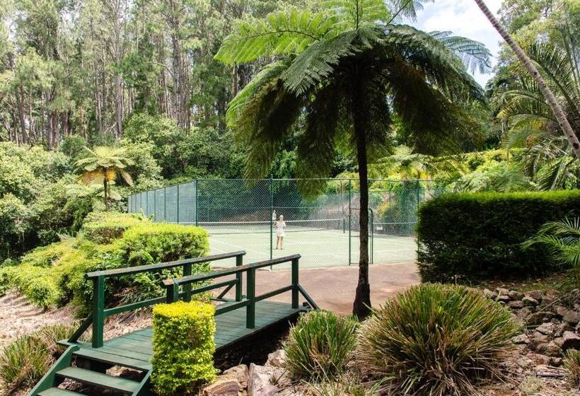 モーテル Montville Mountain Inn